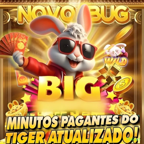 Suporte 766bet
